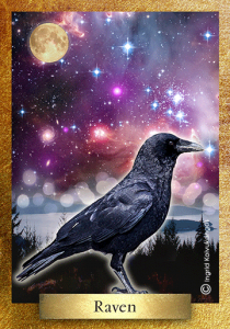 20140302074316-indie-raven-card
