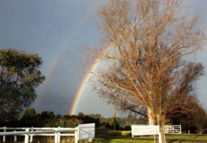 rainbow