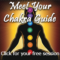 QS Meet Chakra Guide