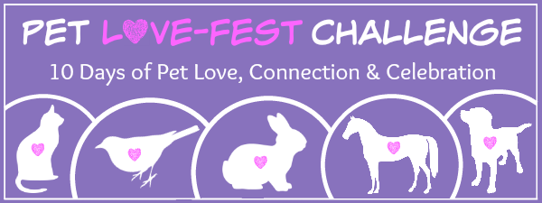Pet Love Fest Banner 600x225