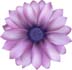 bdl small flower for website