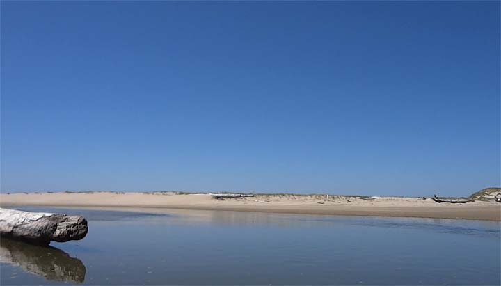 river meets the ocean - Jodi Chapman
